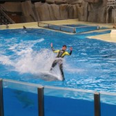 Belgium, riding dolphins (BFF)